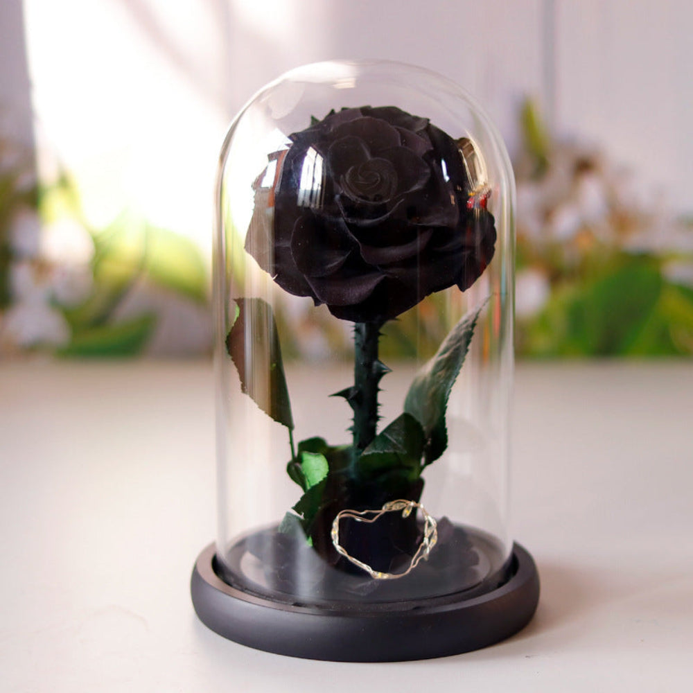 Small everlasting rose dome in black, front view