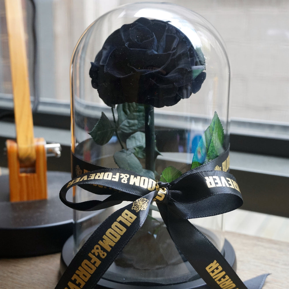 Small everlasting rose dome in black, angled or detail view