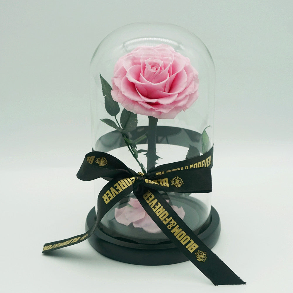 Small everlasting rose dome in pink with logo ribbon tied