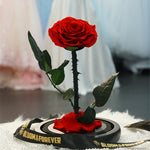 Small everlasting rose dome in red, angled or detail view