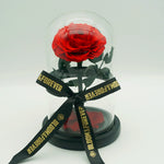 Small everlasting rose dome in red with logo ribbon tied