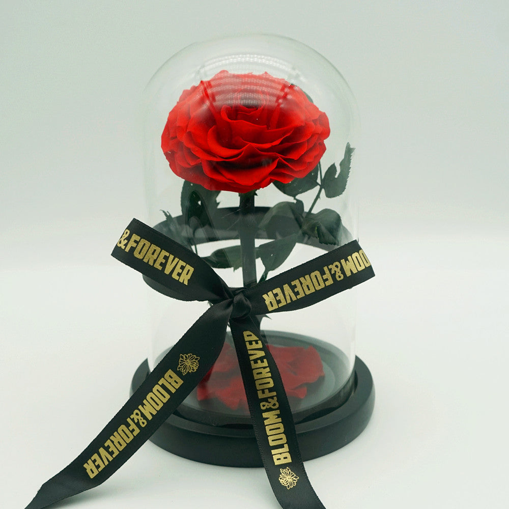Small everlasting rose dome in red with logo ribbon tied