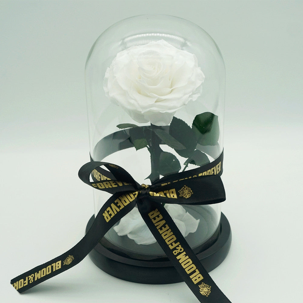 Small everlasting rose dome in white with logo ribbon tied